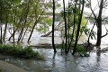 Búrlivé počasie ešte nekončí! Kým v Bratislave stúpala hladina Dunaja, záhradu čitateľky pokryli krúpy