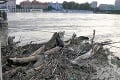 Búrlivé počasie ešte nekončí! Kým v Bratislave stúpala hladina Dunaja, záhradu čitateľky pokryli krúpy