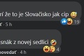 Slováci sa opäť predviedli: Nechutné komentáre po postupe NÁŠHO reprezentanta