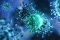 WHO pozorne sleduje  počty nových prípadov nákazy koronavírusom a úmrtí: Povzbudivé zistenie