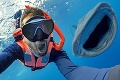 Selfie, aká sa len tak nevidí! Fotografovi sa pod vodou podaril parádny úlovok
