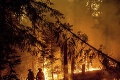 Zábery ako z apokalypsy! Ničivý požiar sa prehnal aj obcou na severe Kalifornie: Domy zrovnal so zemou