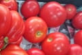 Záhradkári sa predbiehajú v rekordoch, kúsky ako z Černobyľu: Táto paradajka prekoná všetko, čo ste doteraz videli!