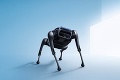 Kybernetický pomocník dokáže neobvyklé kúsky: Robotický pes nielen pre milionárov