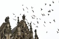 Na raritu v Dóme sv. Alžbety sa nemôžu turisti vynadívať: Oltár z vojnových zbraní