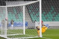 Boženíkov gól na víťazstvo nestačil: Slováci odohrali vyrovnaný zápas so Slovinskom
