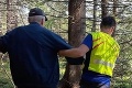 Horskí záchranári ratovali 88-ročného hubára: Spadol v Roháčskej doline