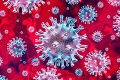 Slovensko v prvej desiatke najviac zasiahnutých krajín koronavírusom: Tento štát EÚ bičuje nákaza najviac
