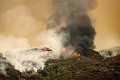 Najväčšie stromy sveta ohrozujú rozsiahle požiare: Zaskočí vás, čím ich hasiči chránia pred plameňmi