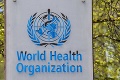 Škandál vo WHO! Pracovníci sa podieľali na sexuálnom zneužívaní: Hrozivé detaily