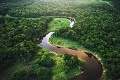 Super správy z Amazonskeho pralesa: Takúto štatistiku vedci nezaznamenali už dlho