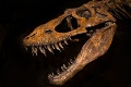 Vedci popísali najstaršieho mäsožravého dinosaura: Našli ho v Spojenom kráľovstve