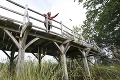 Nový majiteľ siahol hlbšie do vrecka: Drevený most z Medvedíka Pú sa predal za dvojnásobok vyvolávacej ceny