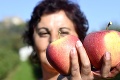 Počasie im neprialo: V Sedliskách majú najhoršiu úrodu jabĺk za 30 rokov