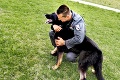 Náhla smrť policajného ovčiaka († 7): Prečo odišiel hrdinský psík taký mladý?