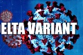 Slovensko je zamorené deltou: Vyskytujú sa u nás aj iné varianty koronavírusu?