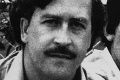 Nechcená pamiatka na Escobara! Hrochy po narkobarónovi ničia ekosystém, vláda pristúpila k finálnemu rozhodnutiu