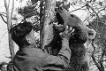 Medveď Wojtek bol legendárnym členom poľskej armády: O macovi vznikne animovaný film