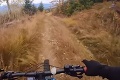 Hrozivé video zachytáva zrážku cyklistu s jeleňom: Čo Slovákovi zachránilo život?