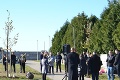 Na Slovensku pribúdajú pamätníky obetiam covidu: Jedinečná lipa v ťažko skúšanej obci! Čo pri nej vyriekol starosta, trhá srdce