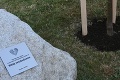 Na Slovensku pribúdajú pamätníky obetiam covidu: Jedinečná lipa v ťažko skúšanej obci! Čo pri nej vyriekol starosta, trhá srdce