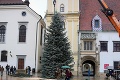 V hlavnom meste už stojí vianočný stromček: Jedľa z Dúbravky váži 2,1 tony!