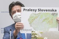 Za Pralesy Slovenska vyhlásia 76 prírodných rezervácií: O ktoré časti Slovenska pôjde?
