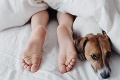 Mali by ľudia spať v posteli s domácimi miláčikmi? Veterinárka povedala, čo to s nimi robí