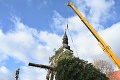 V Trnave sa už vypína vianočný strom: Nevyťali ho len preto, aby sa stal ozdobou
