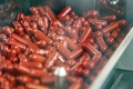 Česko chce proti covidu bojovať aj tabletkami: Objednali tisíce dávok molnupiraviru