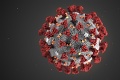 Vedci varujú pred novým variantom koronavírusu: Vážne obavy! Prečo môže byť veľmi nebezpečný