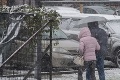 Obyvatelia hlavného mesta sa konečne dočkali: Bratislava víta prvý sneh!