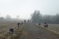 Vstupná brána do národného parku pri Hrabušiciach opeknela: Žiaci zasadili desiatky líp
