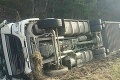 Na diaľnici D2 sa prevrátilo nákladné auto s ošípanými: Zranili sa dvaja ľudia