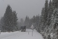 Česko bičuje sneženie a silný vietor: Nehoda troch autobusov aj vlaku, padali aj mestské vianočné stromy