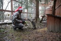 Bohatá nádielka v kontaktnej zoo na Liptove: Tieto dobroty dostali zvieratká od Mikuláša