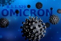 Omikron sa nevyhol ani tejto európskej krajine: Hlásia prvých nakazených novým variantom koronavírusu