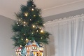 Učiteľka svojím vianočným stromčekom očarila internet: Sledujte tú nádheru
