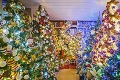 Nemec dosiahol vianočný svetový rekord: Má   doma 444 stromčekov!