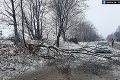 Výdatné sneženie v Trnavskom kraji: Na cestách sa stalo viacero nehôd