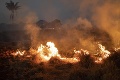 Požiare v Brazílii zabili 17-miliónov zvierat: Ekológ hovorí o nepredstaviteľných následkoch