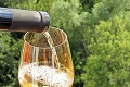 Vinári sú zúfalí! Najlepšie víno za desaťročie nemohli predávať: Škoda je v hodnote desiatok miliónov eur
