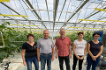 Dobré fondy EÚ: Uhorky pestujeme pri obci Zemné vďaka Bruselu