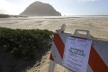 Pri kalifornskom pobreží útočil žralok: Z vody vytiahli bezvládne telo surfistu! Úrady varujú