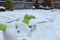 Pravdivejší odraz reality nenájdete: Tento snehuliak vystihol novoročné ráno mnohých Slovákov!