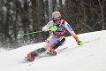 Petre Vlhovej sa totálne rozpadá harmonogram: Zrušili slalom vo Flachau! Nebezpečná nálož koronavírusu pred olympiádou