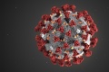 Nový variant koronavírusu! Cyperskí vedci ho nazvali deltakron: Nakazilo sa ním už 25 ľudí
