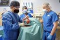 Pacientovi v USA zachránila život prvá takáto transplantácia na svete: Dostal srdce z prasaťa