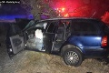 Mladík bez vodičáku narazil s autom do stromu: Medzi ranenými aj malé deti!