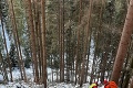 Lesný robotník sa zranil vo Veľkej Fatre: Pomáhať museli horskí záchranári